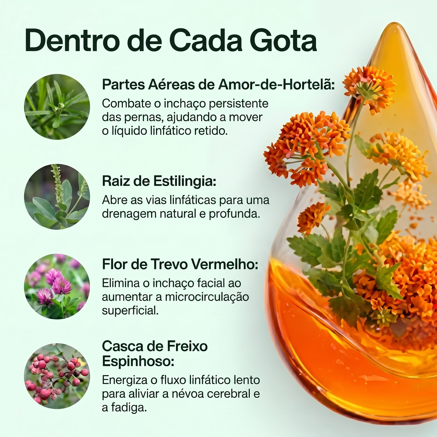 Drena+ Lymphatische Flüssigkeit