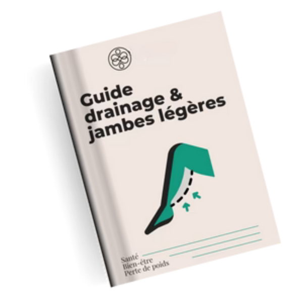 E-Book — Leitfaden für Lymphdrainage & Cellulite